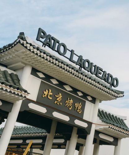 082 - Pato Laqueado - 2011